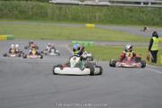 IMG (421)